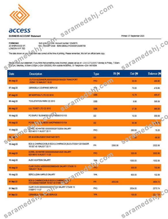 Access Bank company checking account statement Word and PDF template